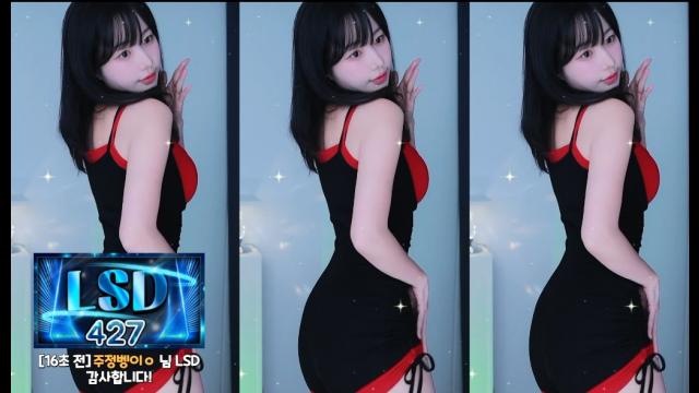 검색이유란_LSAD+터미널
