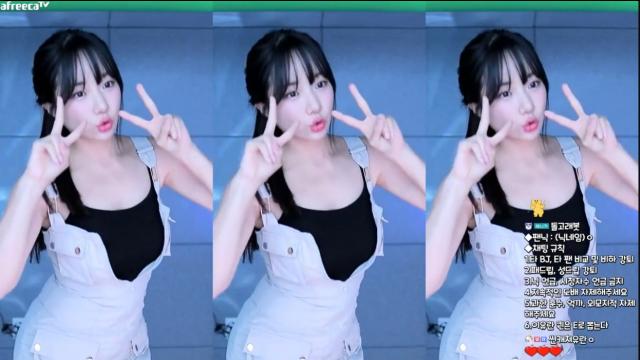 검색이유란_솜사탕