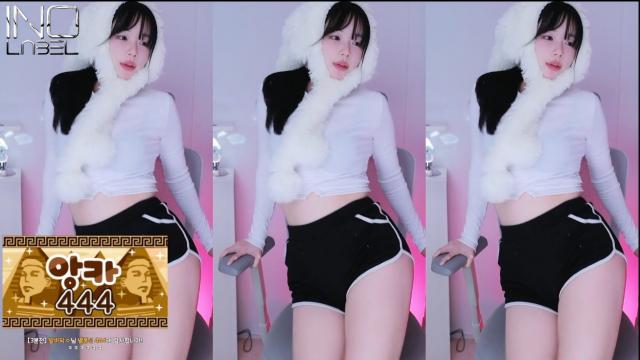 검색이유란_빛을따라서+핑크레이디+LSAD+터미널+앙카