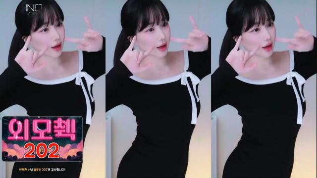 검색이유란_외모체크+여우+뾱뾱이+네모네모+포켓몬
