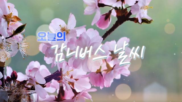 감니버스 날씨요정