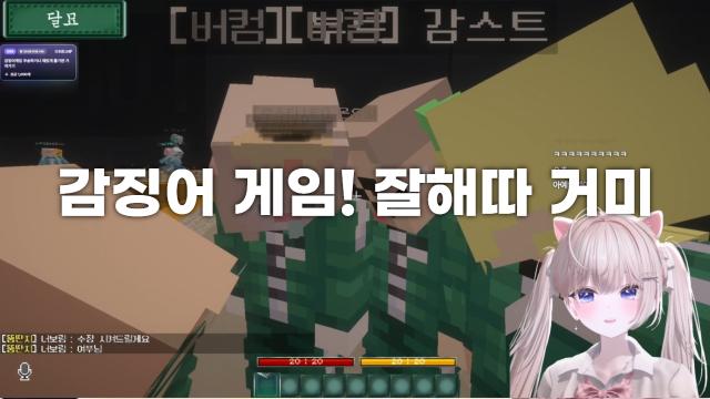 [버컴] 감징어게임
