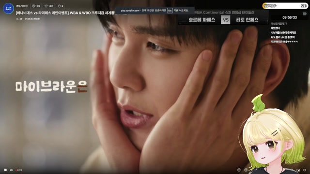 [도파민] WBA & WBO  크루저급 세계통합타이틀전 복싱모르는눈