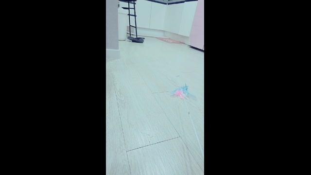 최고의 육수방송 (볼륨조절필수