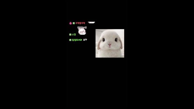 [하데스] 초기습짧모뱅