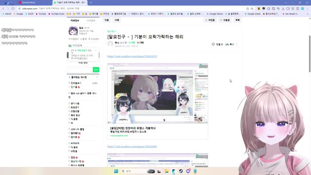 [클립]미드 얘기에 긁힌 해리 보는 달묘