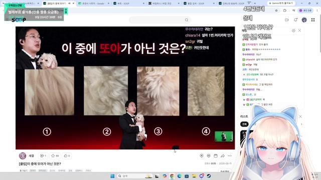 부르