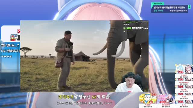 [캐치]감물의 왕국 보는 부르