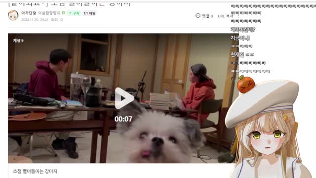 강아지 혓바닥 따라하는 띵귤